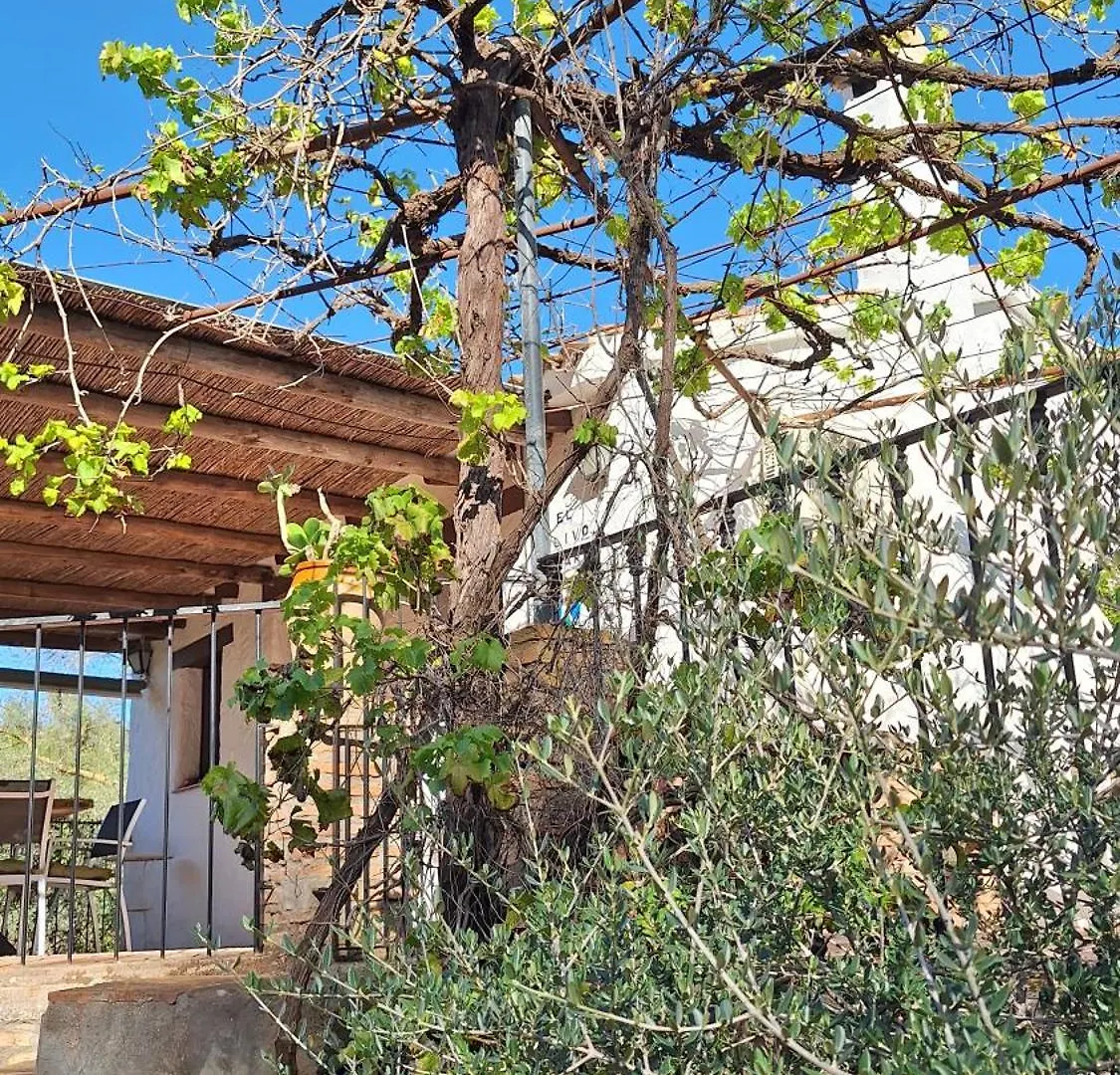 Holiday home Finca El Agua Da Vida Comares Spain