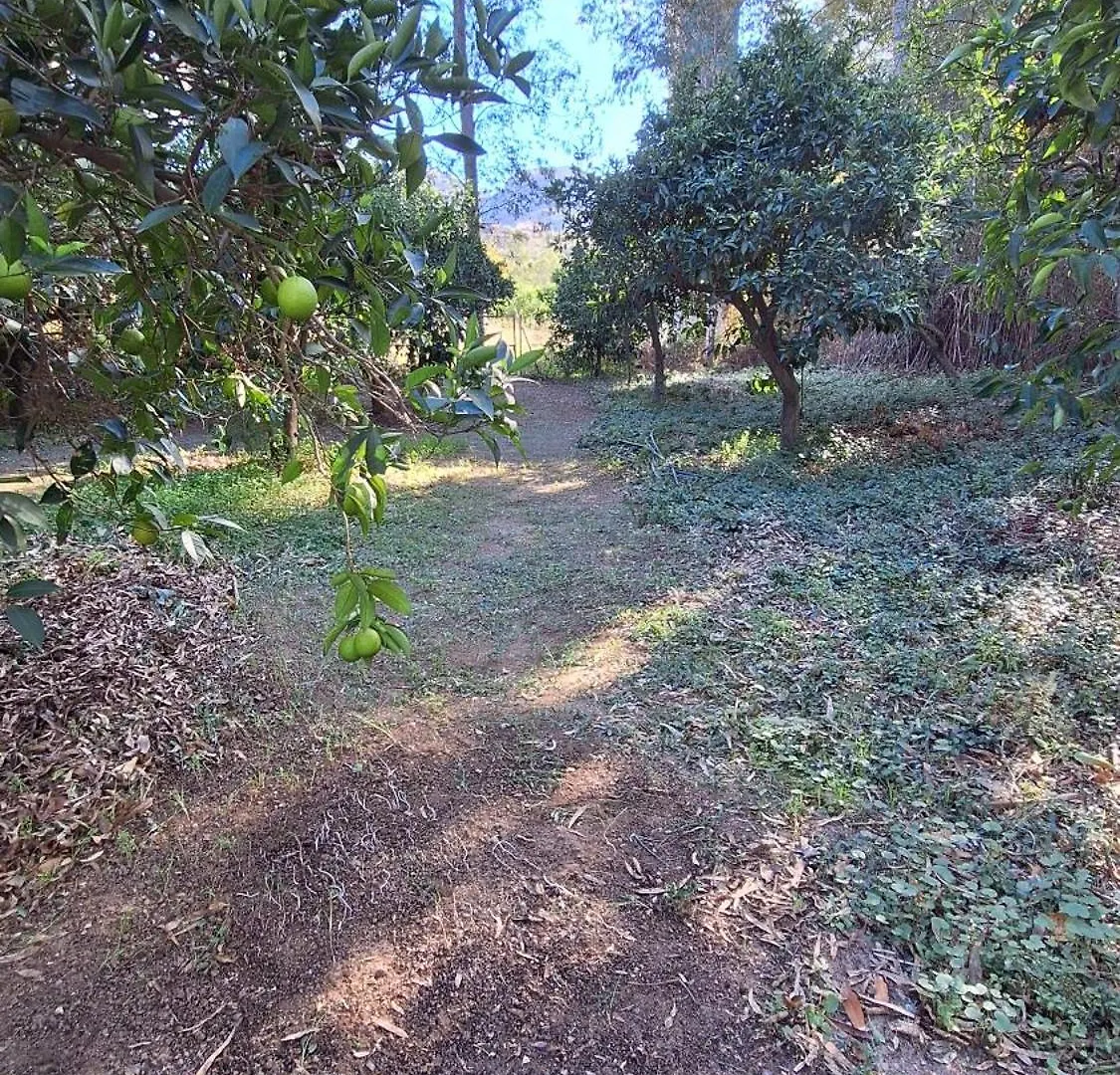 Finca El Agua Da Vida Comares