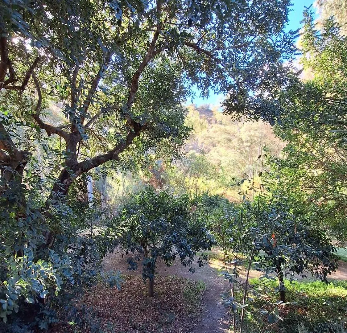 Finca El Agua Da Vida Comares 0*,