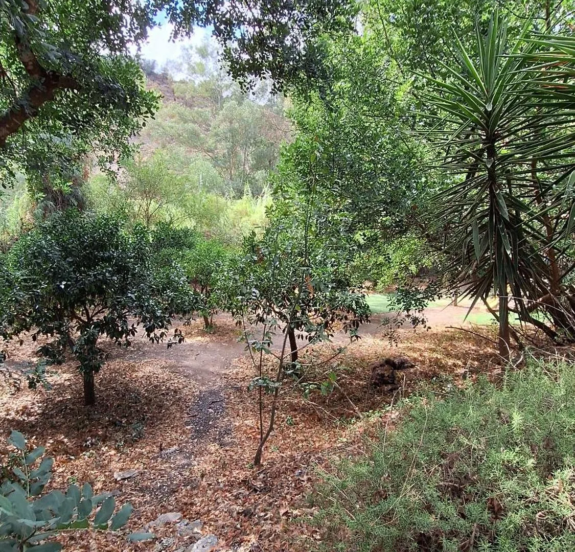 Finca El Agua Da Vida Comares