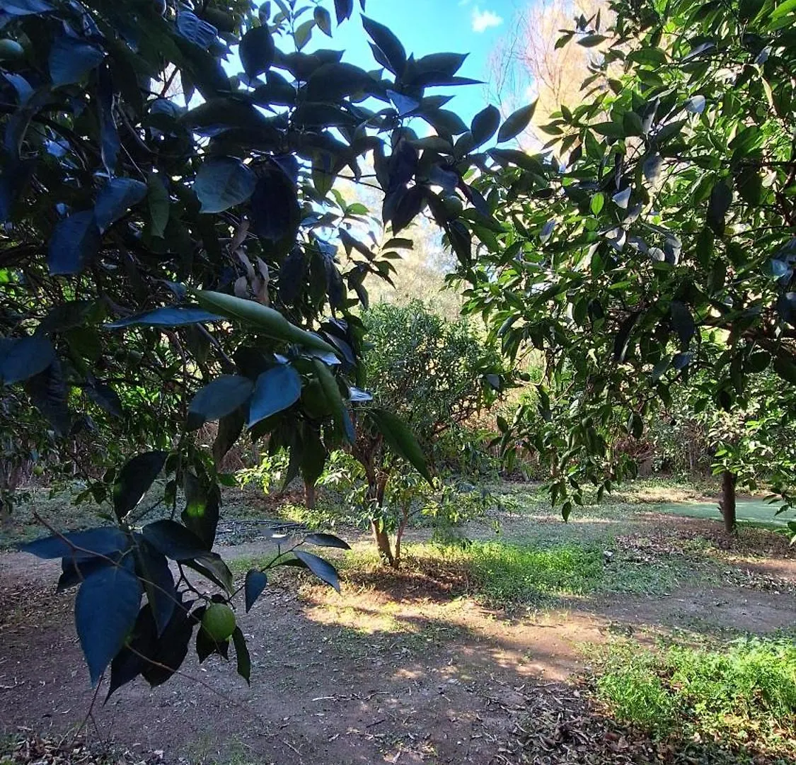 Finca El Agua Da Vida Comares 0*,