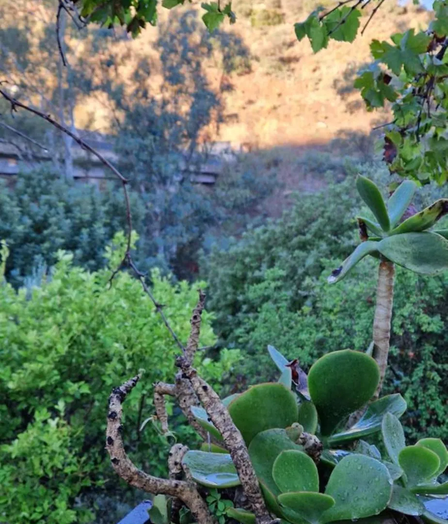 Semesterbostad Finca El Agua Da Vida Comares Spanien
