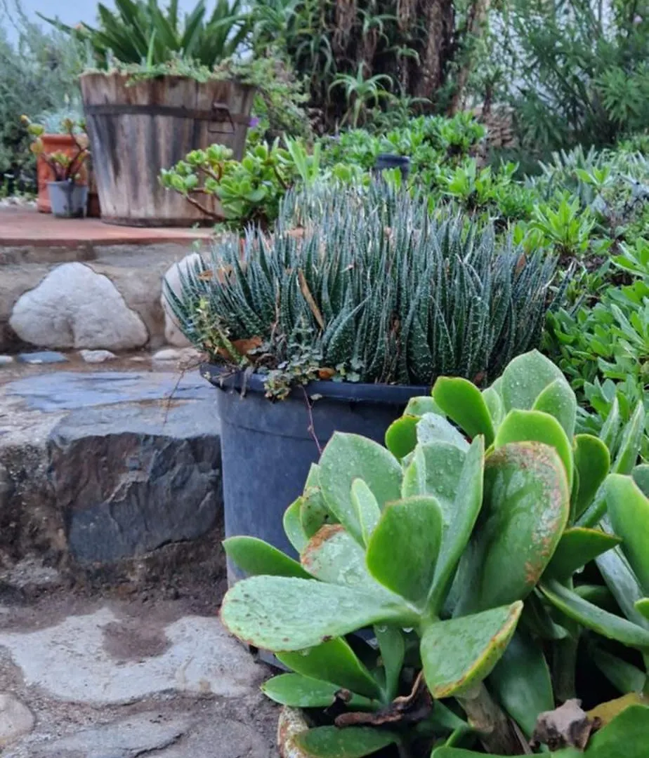 Semesterbostad Finca El Agua Da Vida Comares