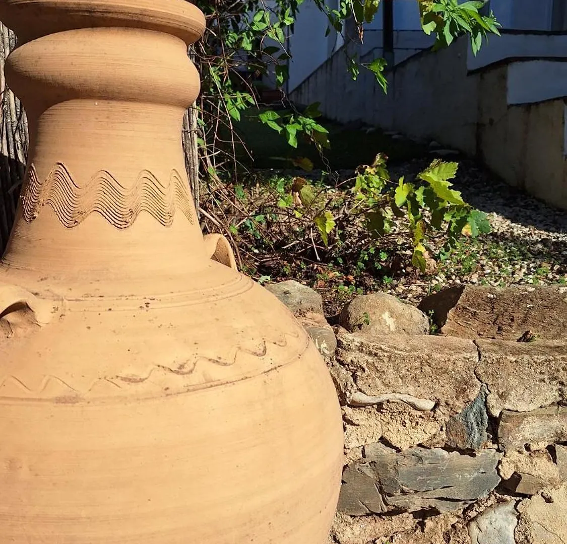 Finca El Agua Da Vida Comares