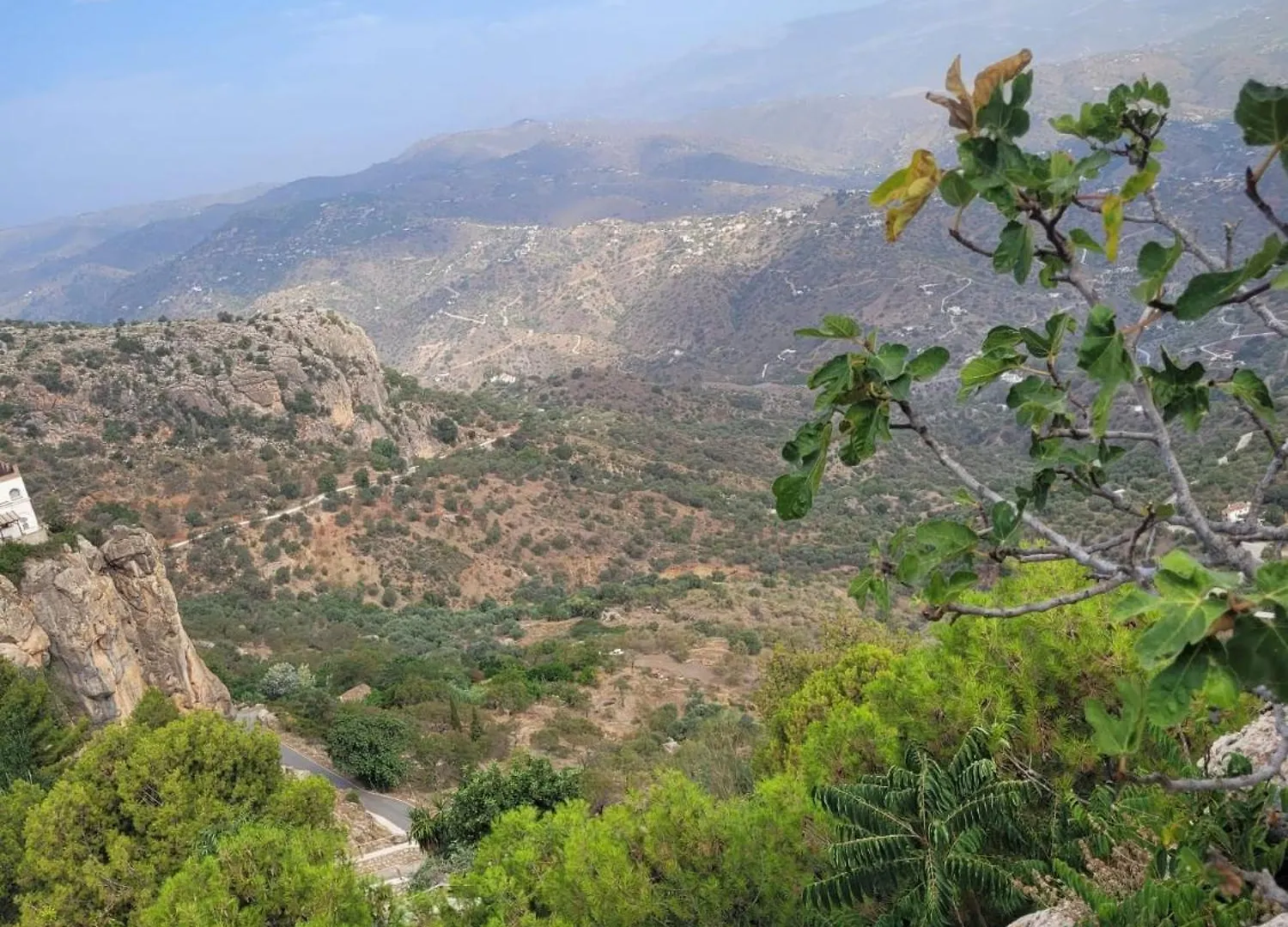 Finca El Agua Da Vida Comares