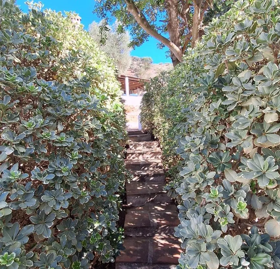 Semesterbostad Finca El Agua Da Vida Comares Spanien