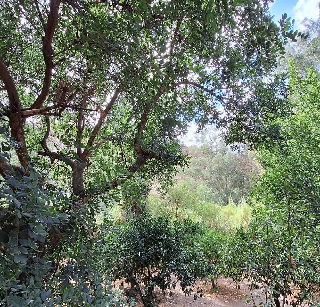 Finca El Agua Da Vida Comares Holiday home